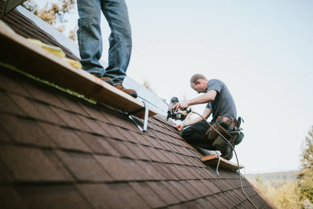 Best Metal Roofing Contractor  in Vaville, CA